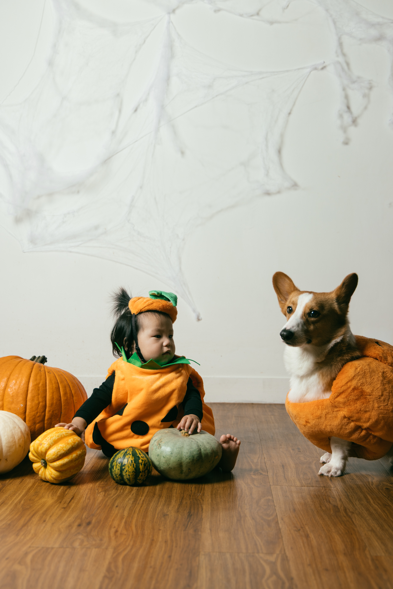Halloween Baby and Dog Portrait | Hong Kong Family Photo Studio
