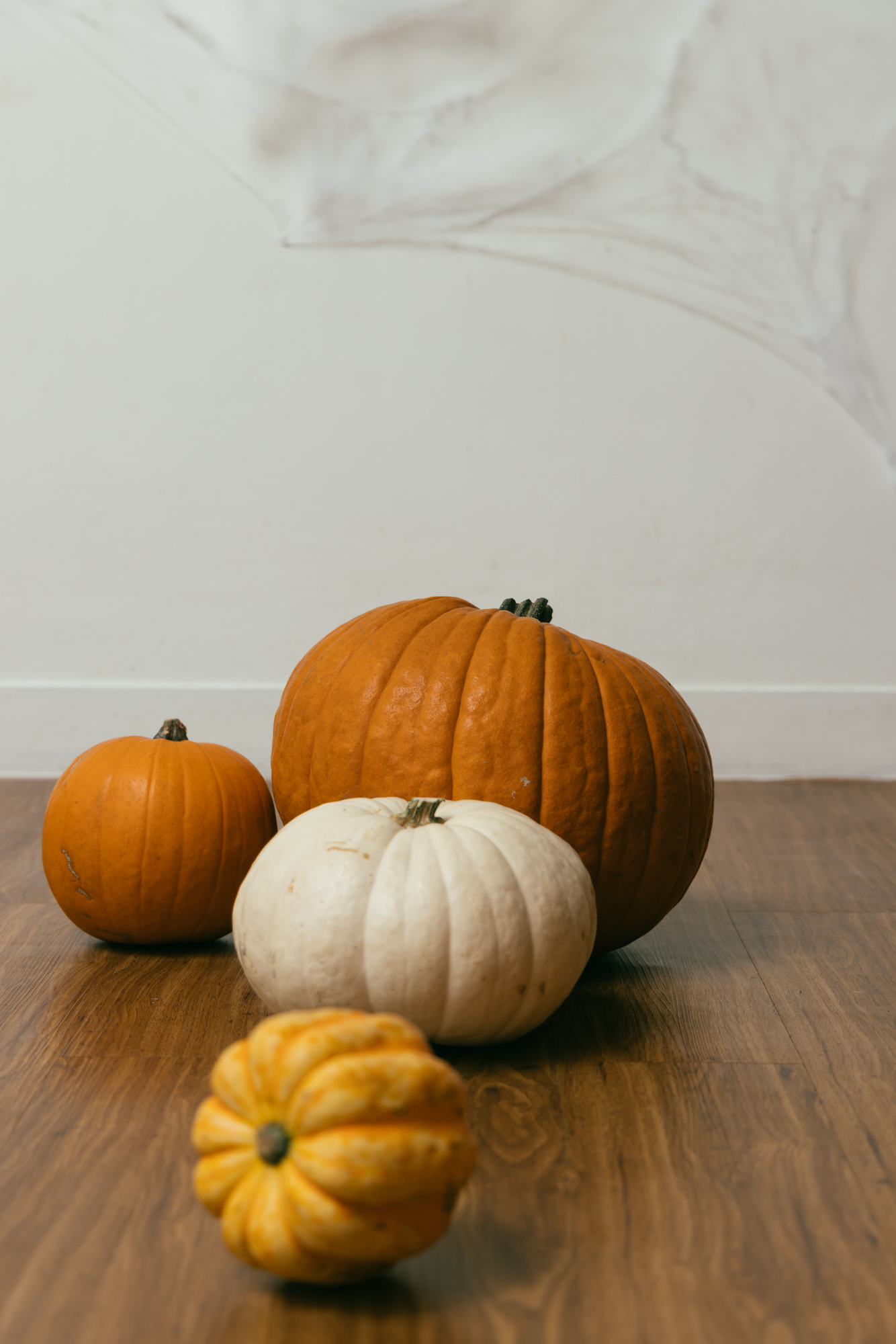 Pumpkin corner at workshop ten | Photo Studio Hong Kong | Kennedy Town